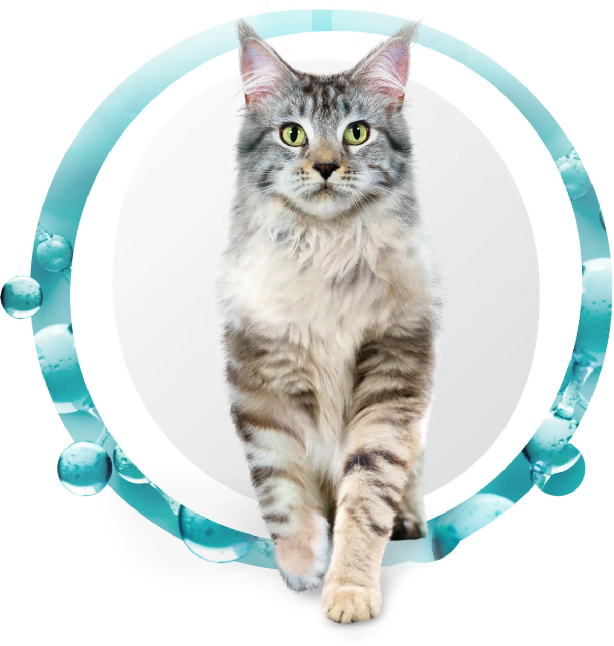 Кормите правильно с&nbsp;брендом Purina&nbsp;ONE<sup>®</sup>
