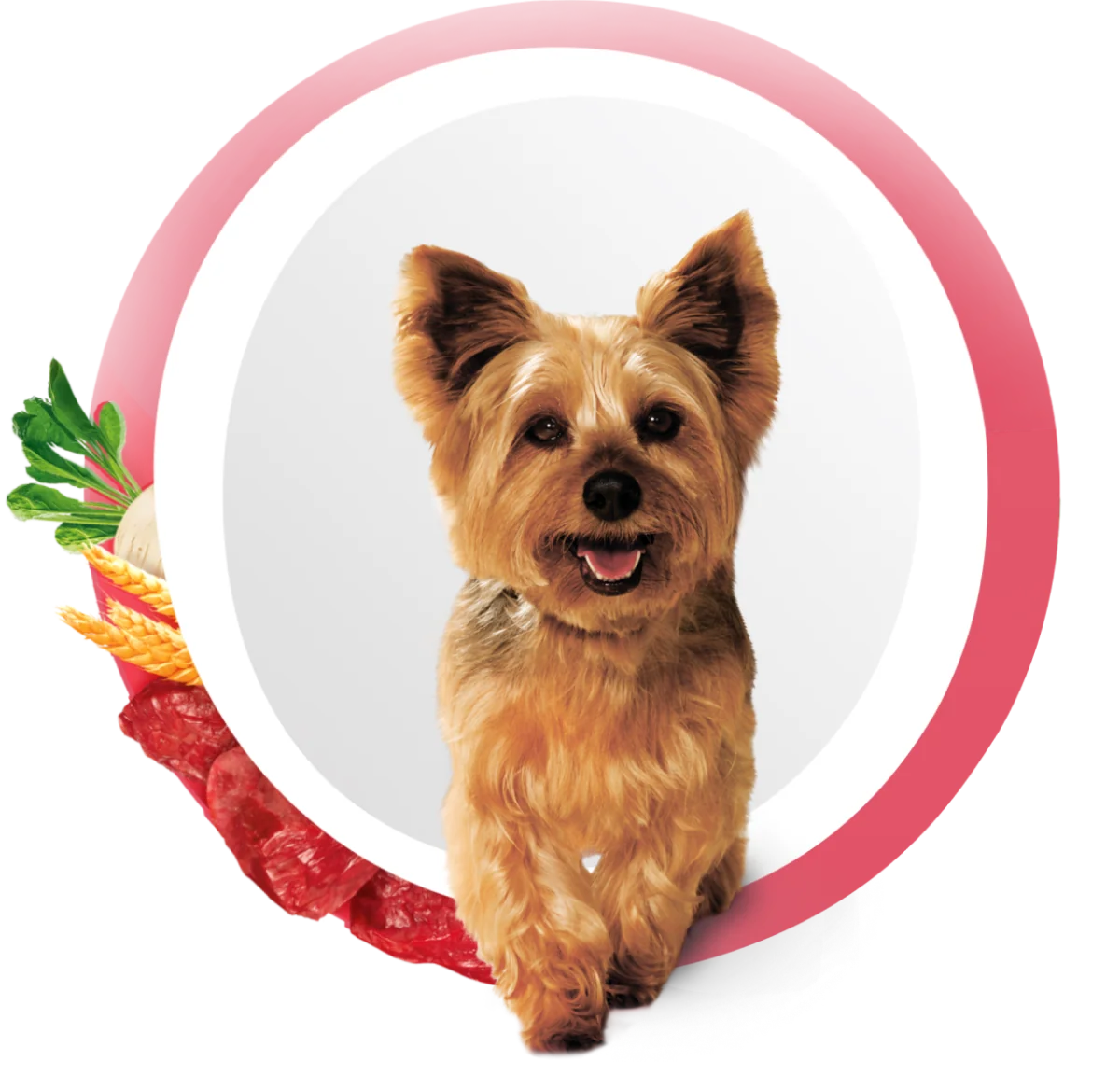 Кормите правильно с&nbsp;брендом Purina&nbsp;ONE<sup>®</sup>